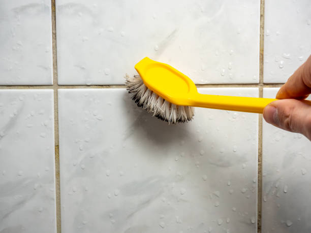 Best Mold Remediation for Schools in Cerro Gordo, IL