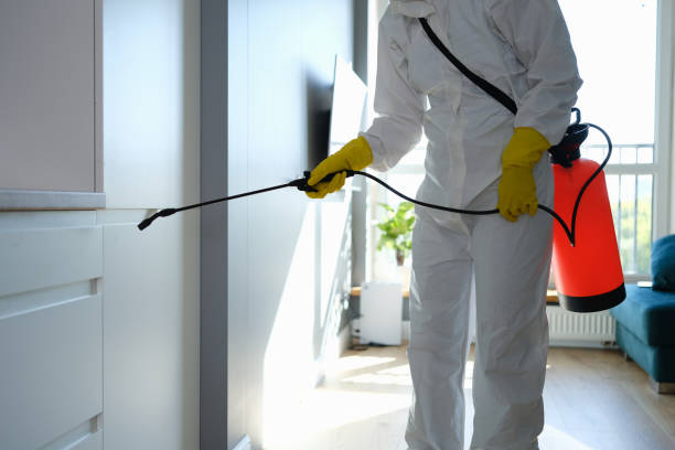 Best Bathroom Mold Remediation in Cerro Gordo, IL