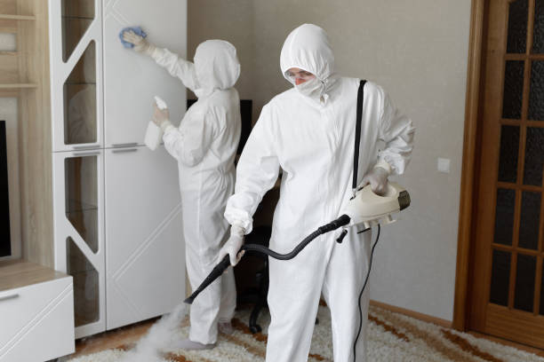 Best Post-Flood Mold Remediation in Cerro Gordo, IL